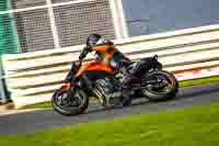 Lower Group Orange Bikes